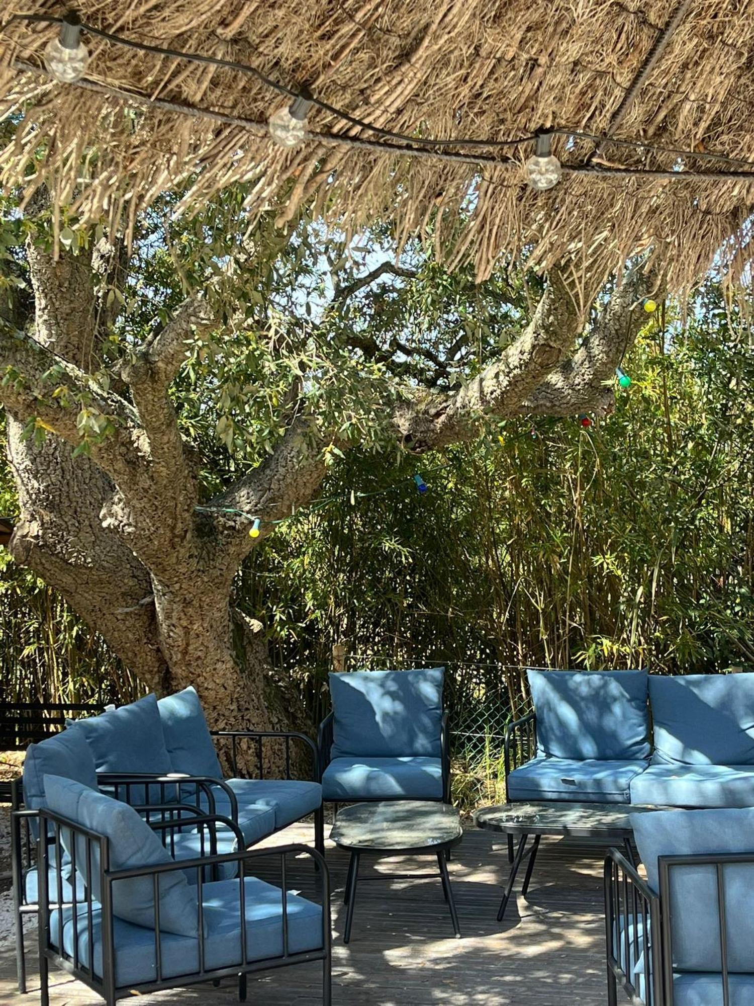 סן טרופז Lou Riou Village Vacances מראה חיצוני תמונה